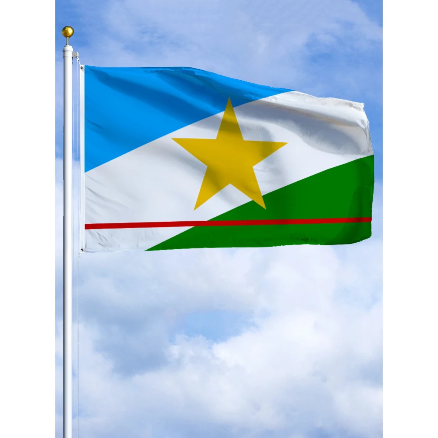 TEMU 1pc. Roraima Rondonia Emblem Flag Polyester Printed Banner Tapestry For Decor 2x3ft 3x5ft 4x6ft