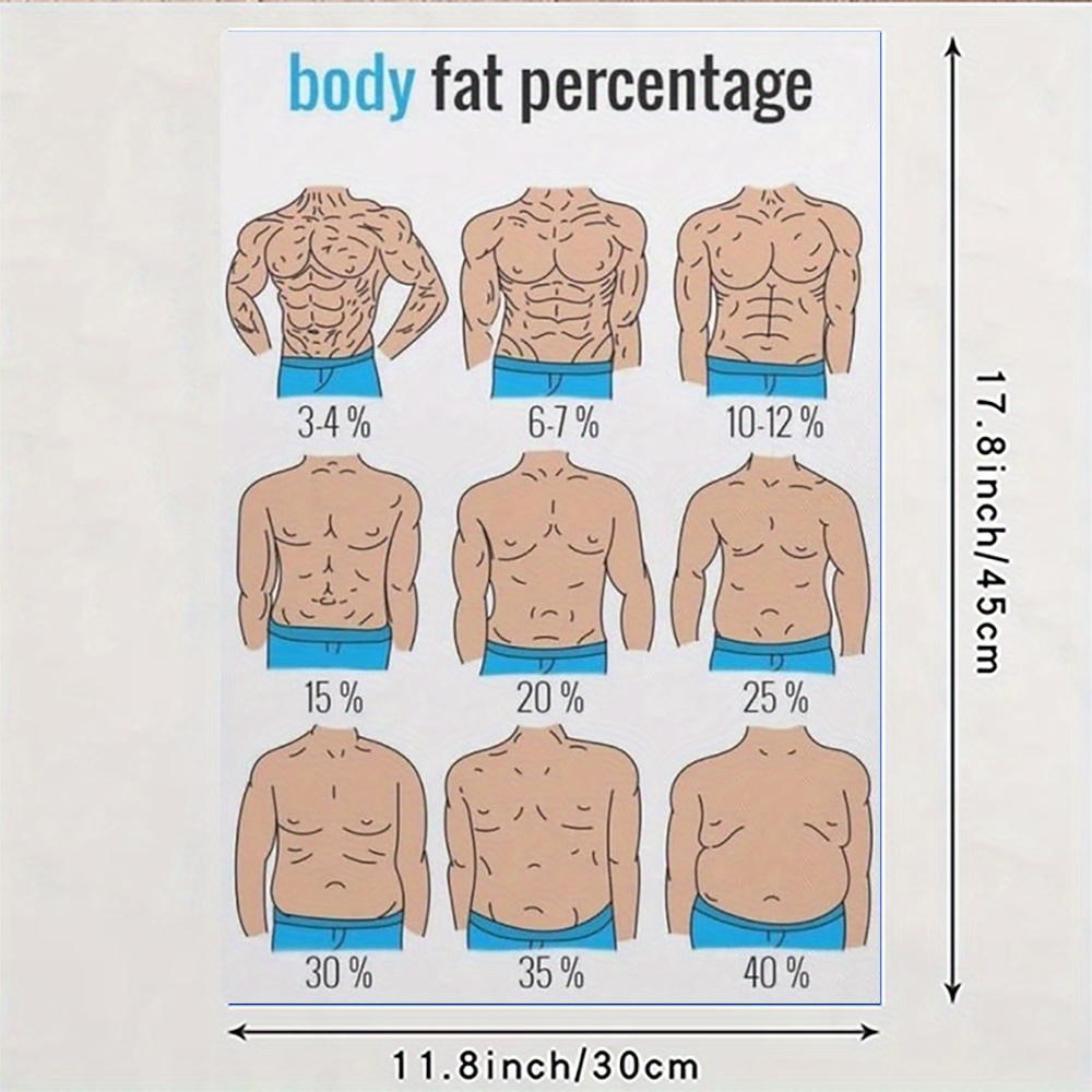 pieza guía porcentaje grasa corporal póster fitness 12x18 Temu