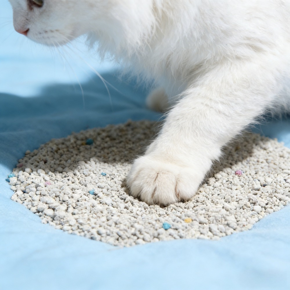 4 PACK 6Kg Clumping Clay Cat Litter Highly Absorbent Low Tracking Odour Control for Cats