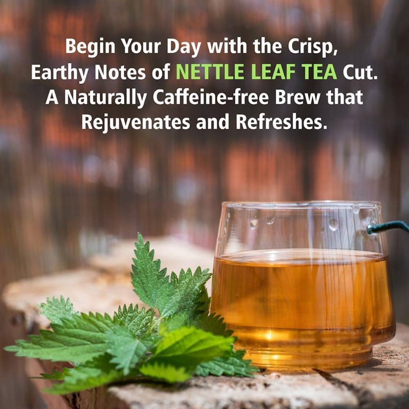 100 g Nettle Leaf Tea | Loose Cut Sifted for Fresh Herbal Infusions, Dried Urtica dioica Leaf by Herbals