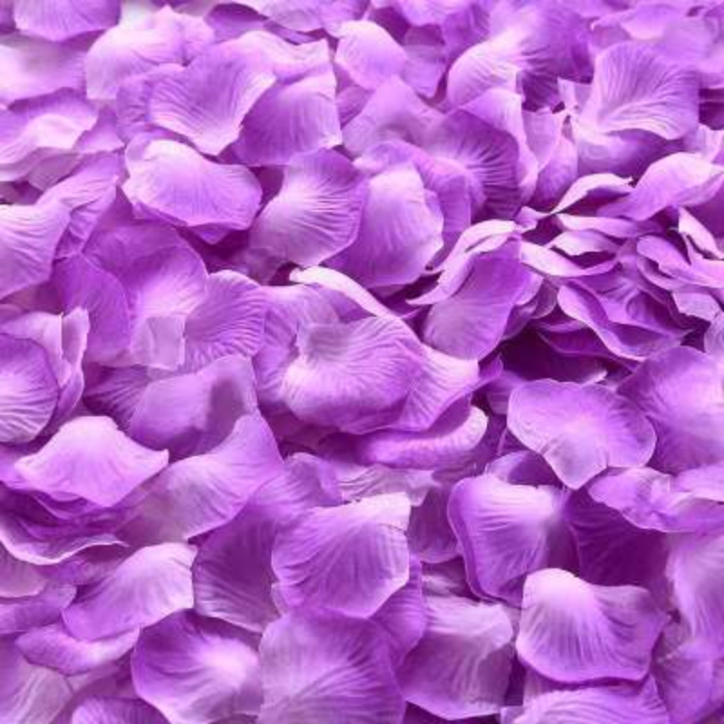 Gentle Meow 1000 Pcs Artificial Flowers Simulation Rose Petals Decorations  For Wedding, Pink