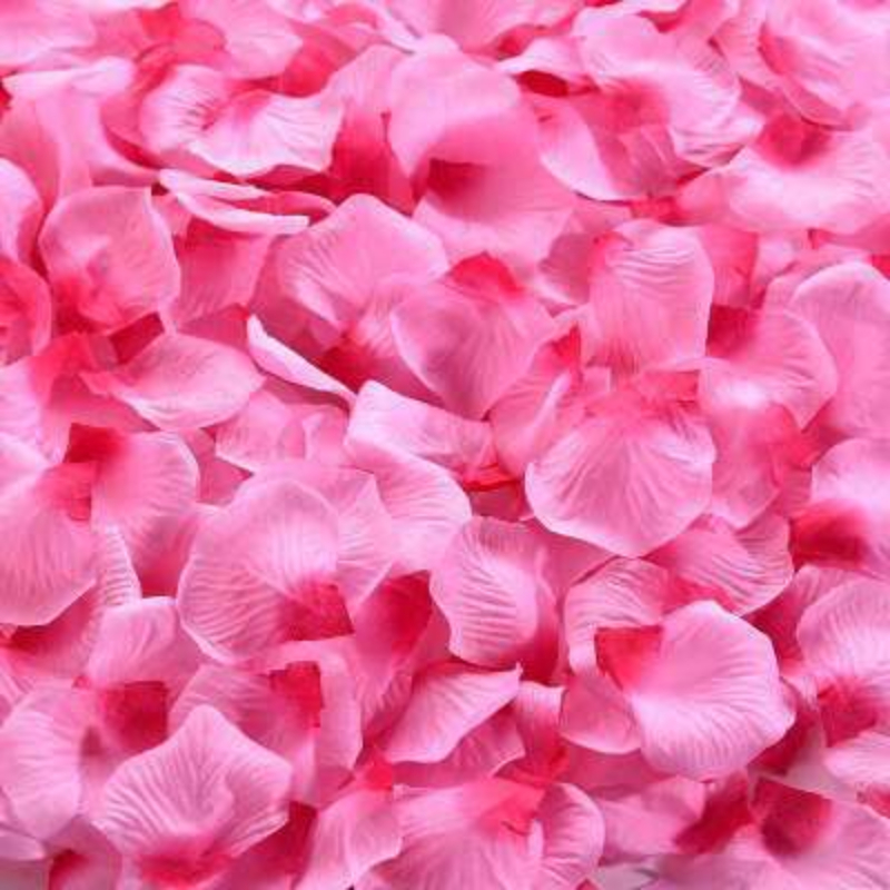 Gentle Meow 1000 Pcs Artificial Flowers Simulation Rose Petals Decorations  For Wedding, Pink