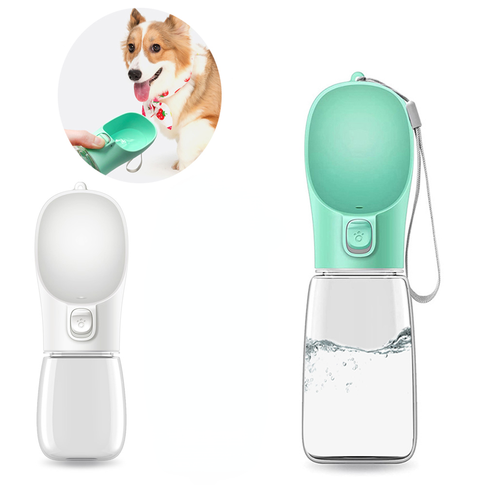 qqpets dog water bottle