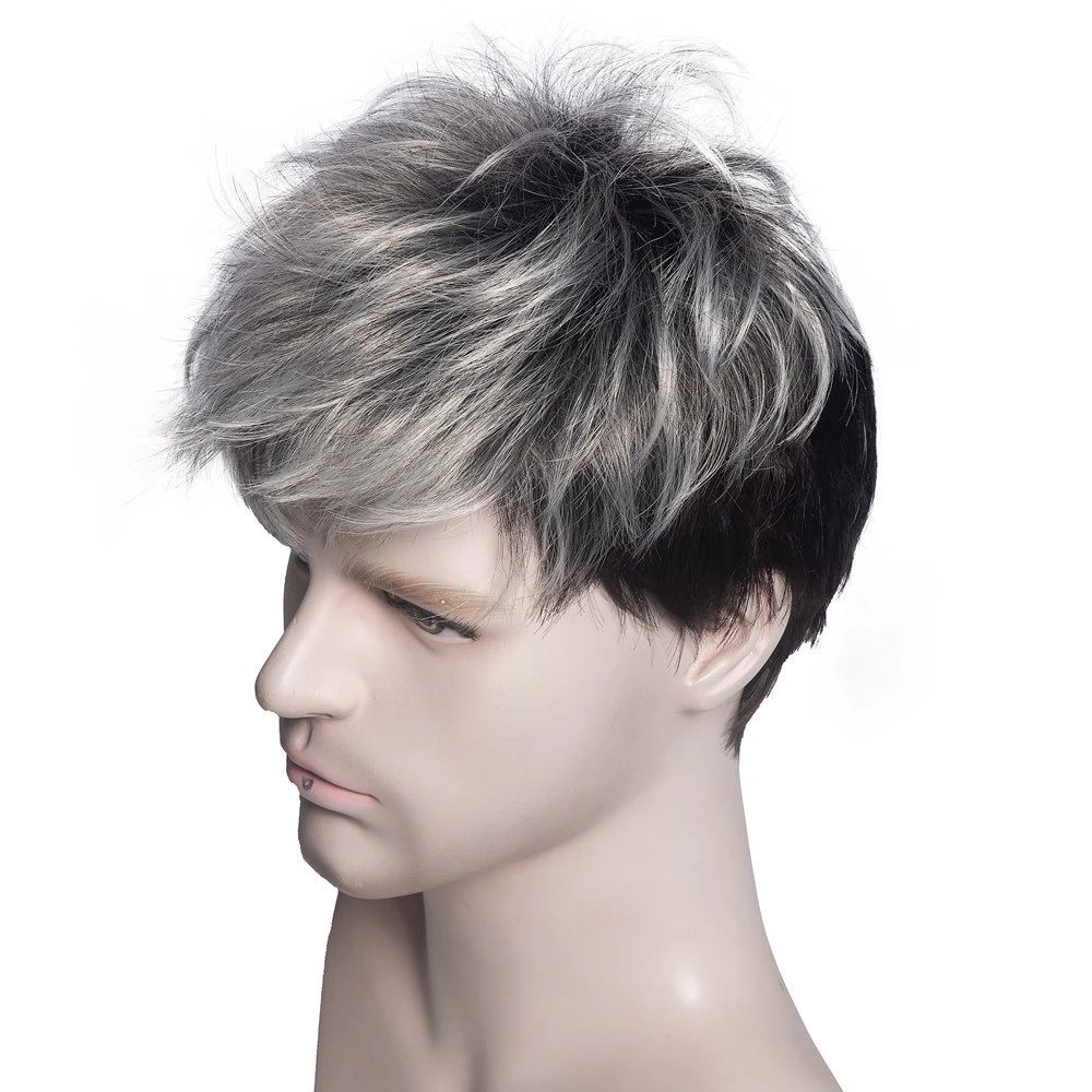 Short Wigs For Men Daily Cosplay Wig Men Synthetic Straight Hair Men's Wig  Gray Black Pixie Cut Wig With Bangs | Shop Now For Limited-time Deals | Temu