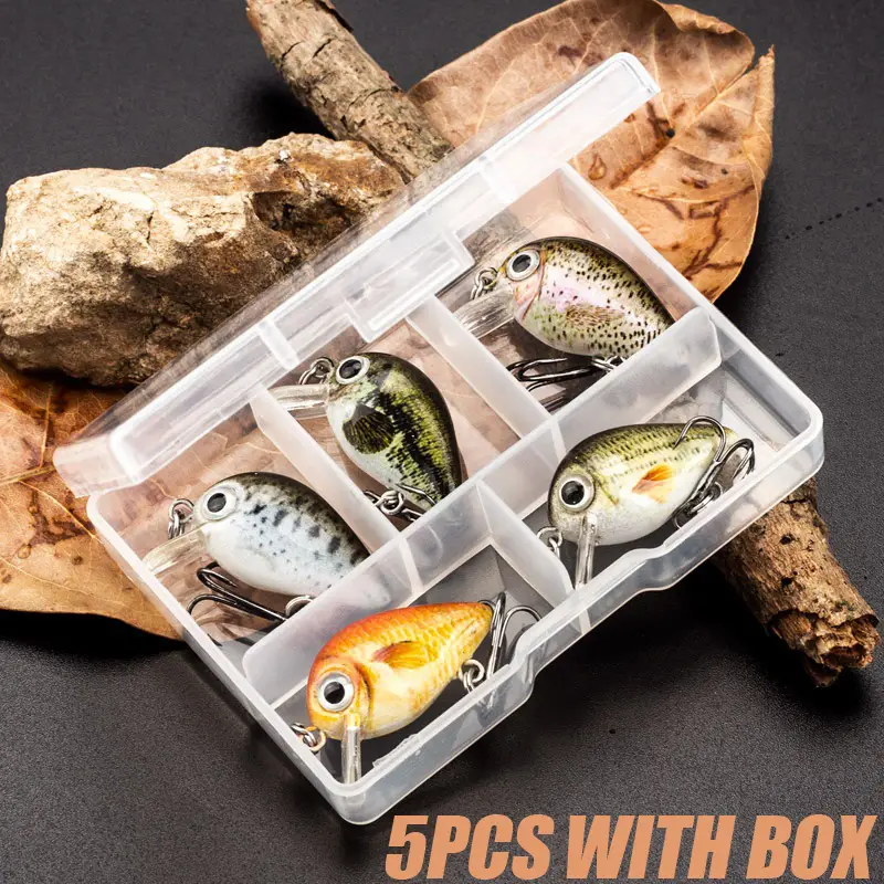 5-Piece Mini Fishing Lure Set: 3D Printing Crank Bait Artificial Bait With  Fishing Box
