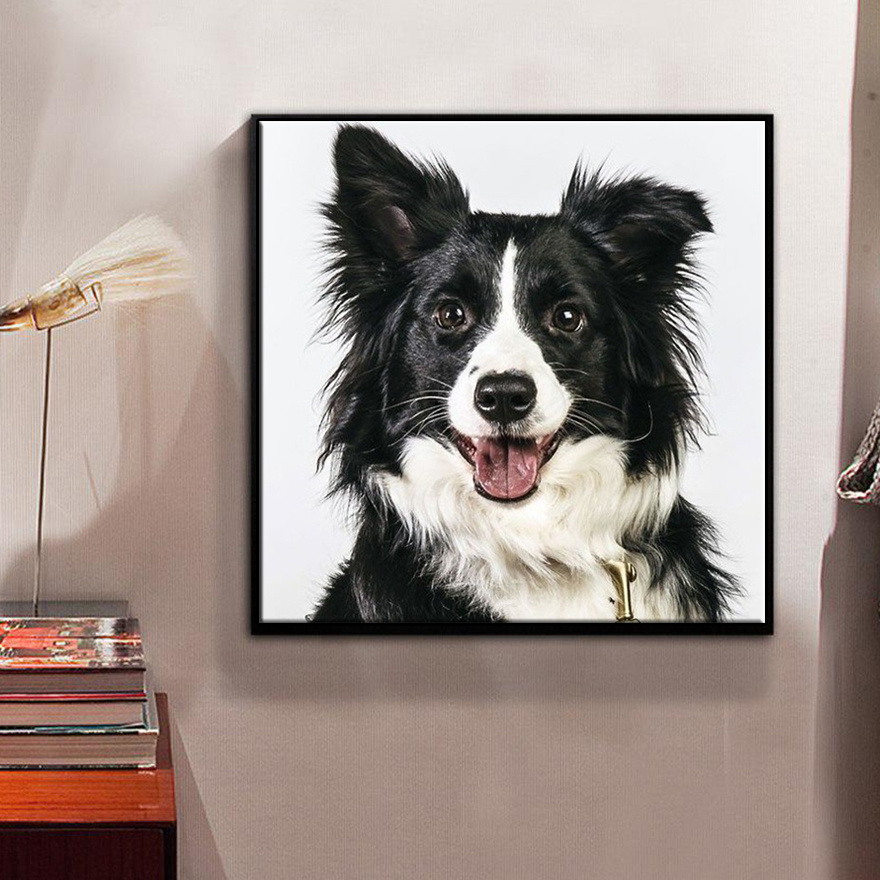 Diamond Painting DIY Dog Pet Portrait Black And White Style Design