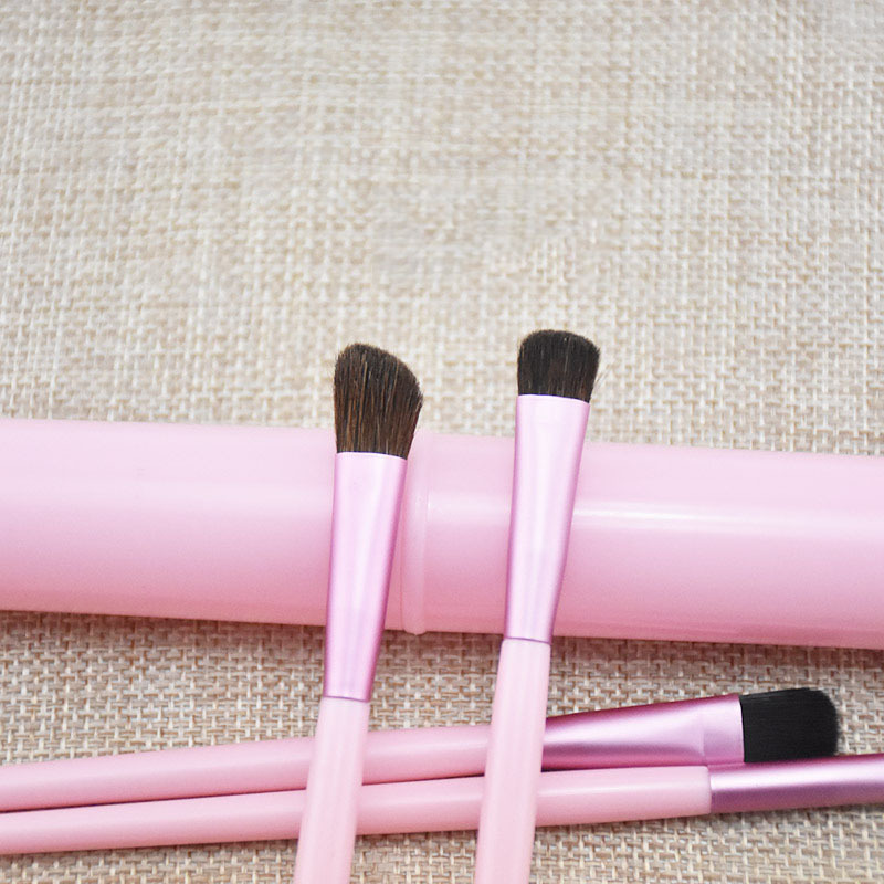 5pcs Eye Makeup Brush Set with Case - Professional Mini Brushes Kit