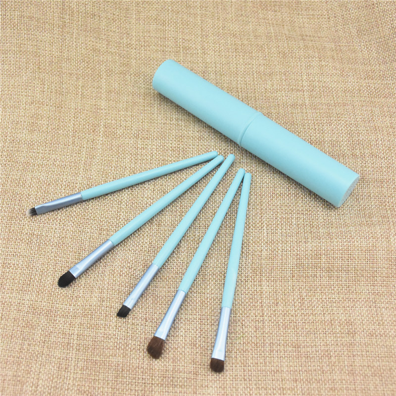 5pcs Eye Makeup Brush Set with Case - Professional Mini Brushes Kit