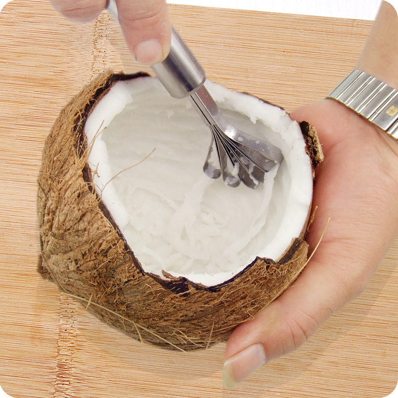 Coconut Grater Coconut Scraper Coconut Meat Removal Tool Coconut Shredder Coconut Cutter Opener Melon Scraper Coconut,Stainless Steel Coconut