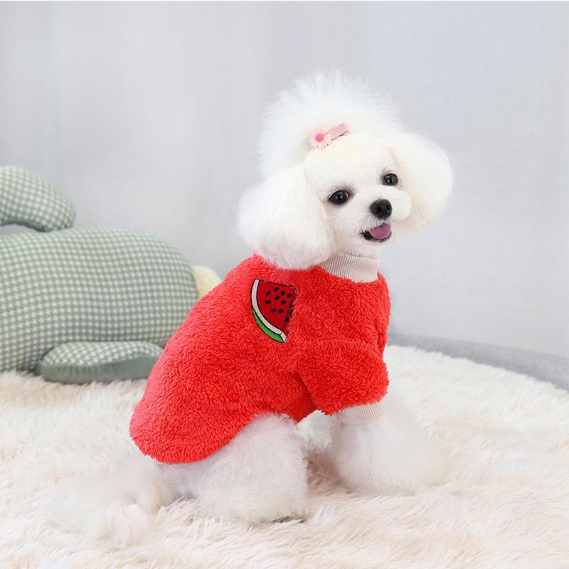 Keep Your Small Dog Warm And Stylish With These Adorable Pet Girl