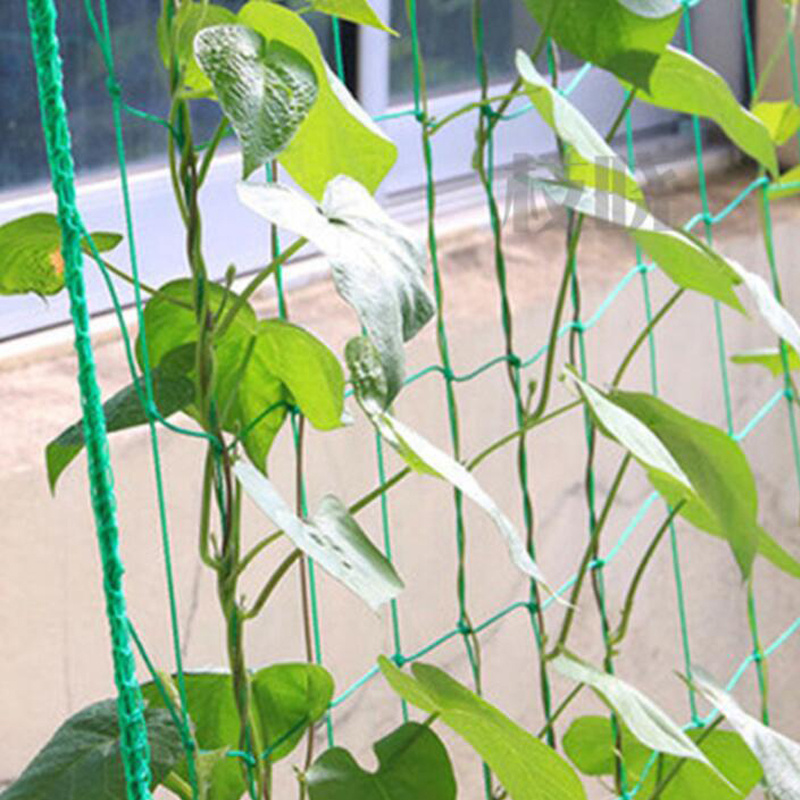 Garden Trellis Netting Perfect Growing Peas Beans Fruits! Temu