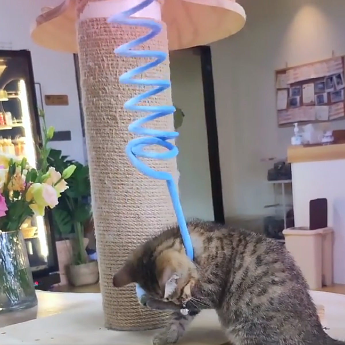 Cat Toys For Indoor Cats: Relieve Boredom With Attractive, High-elasticity  Rope Simulation Balls! - Temu