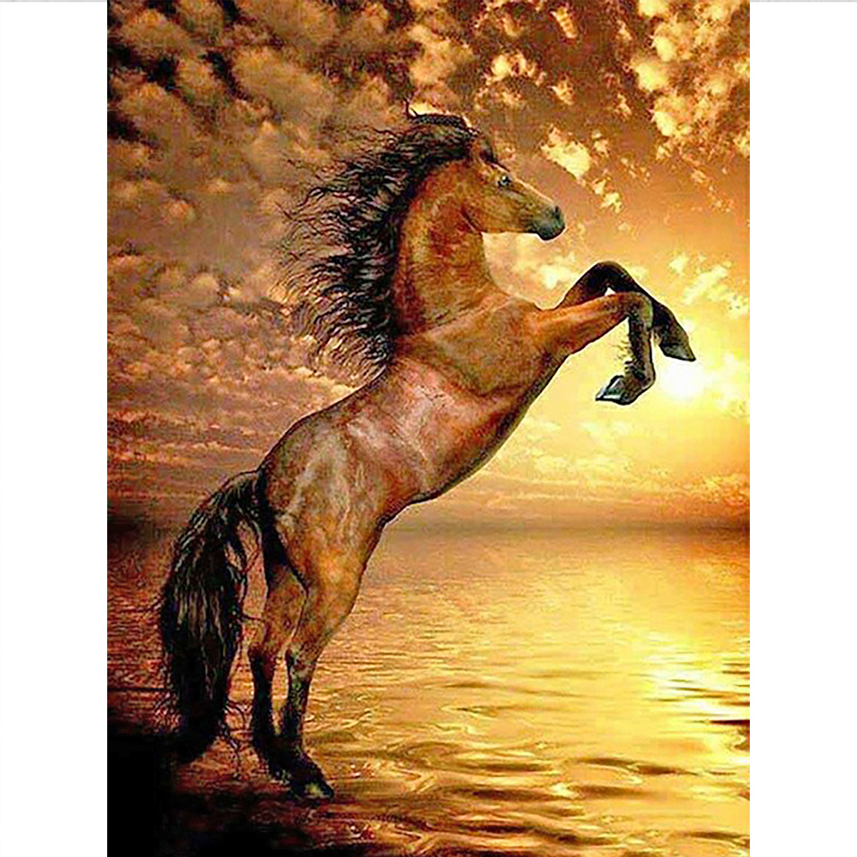 Noche Horse Diamond Painting Horse Full Drill Diamond Painting Kits,5d  Diamond Art,Gem Art for Adults Wall Home Decor 12x18 inch
