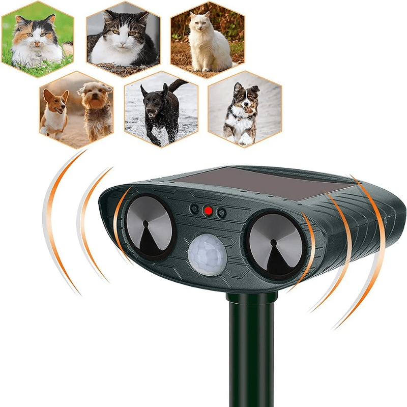 Best Solar Ultrasound for Cats and Dogs