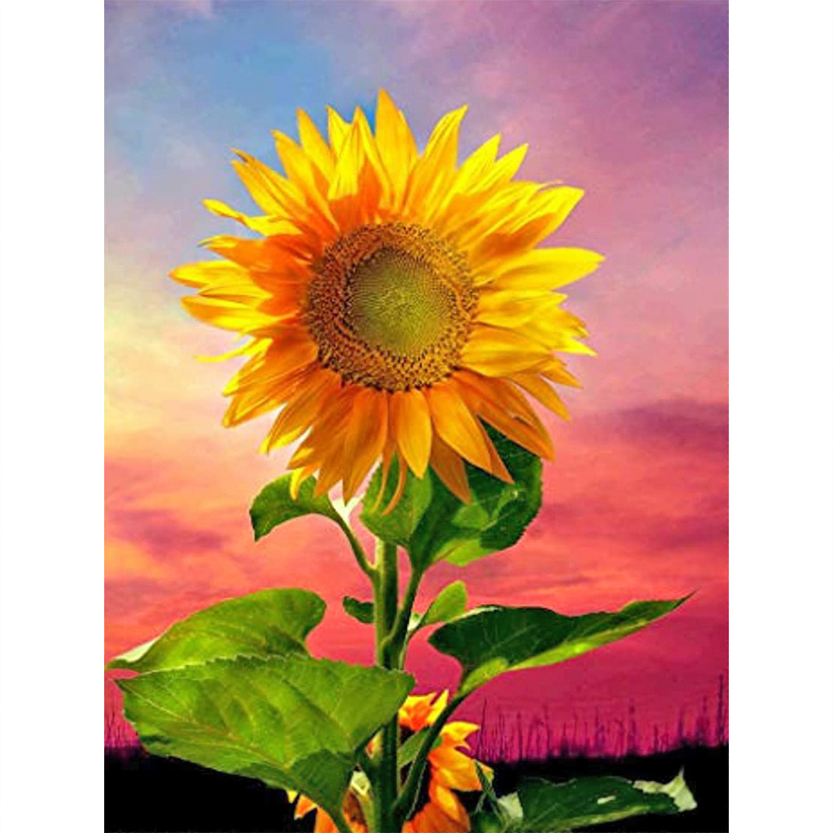 5d Diamond Painting Kits For Adults, Diy 5d Diamond Art Kits Adults Sun  Flowers Diamond Painting Flowers Kits St. 30x40 Cm