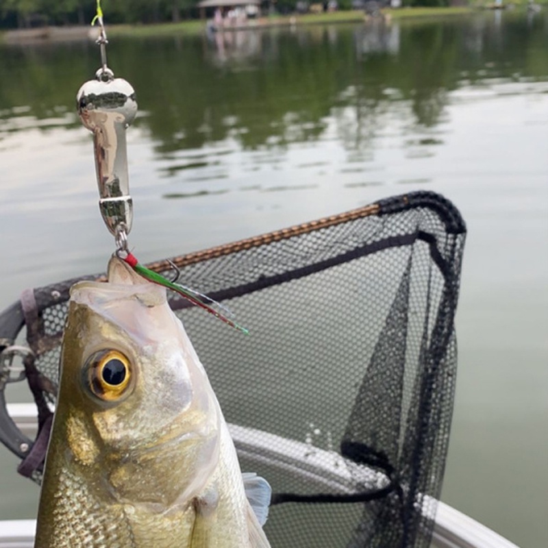 6PCS Fishing Lures for Freshwater Professional Fishing Lure Making Kit  Rubberized Bait Fishing Gifts for Men Him 