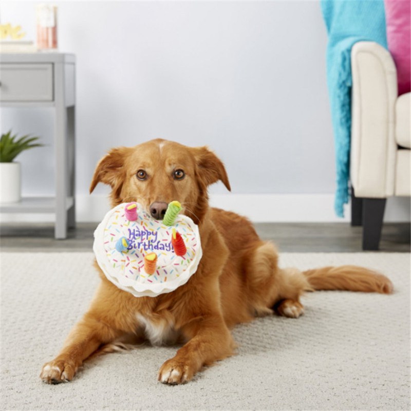 Bone shaped Birthday Party Dog Chew Toy A Fun Interactive - Temu