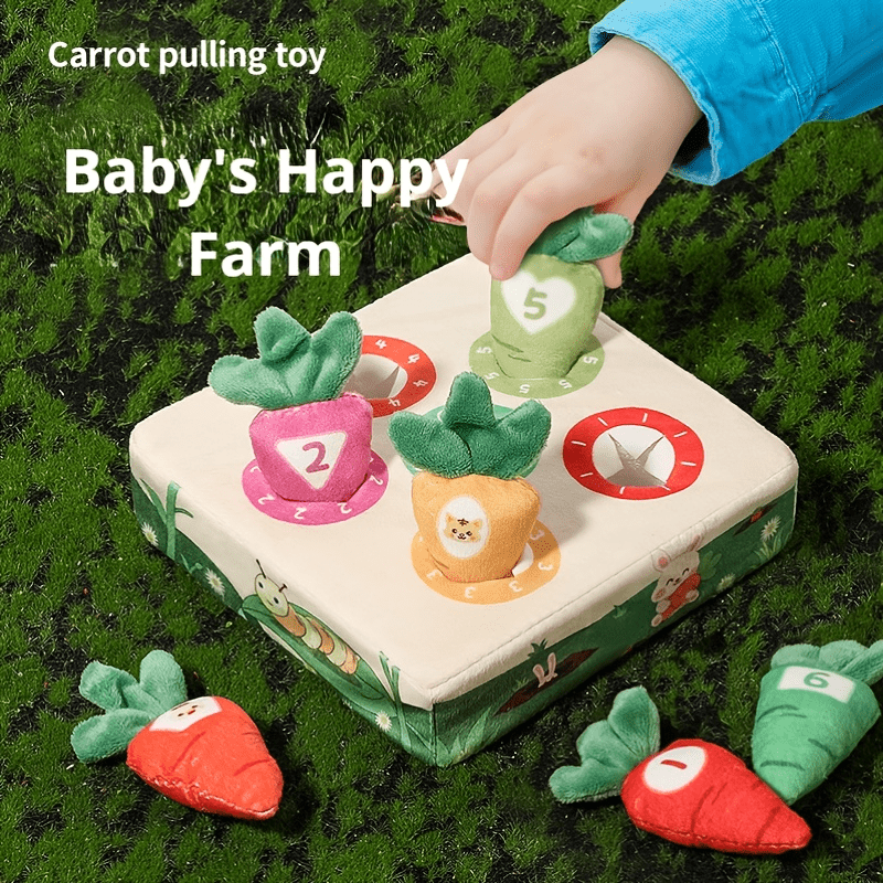 Carrot Farm Toy