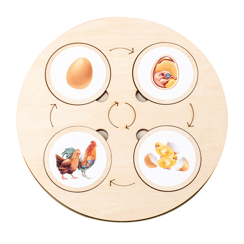 Montessori Life Cycle Board Tray Children's Game Wooden Educational  Toys Play Teaching Aids 