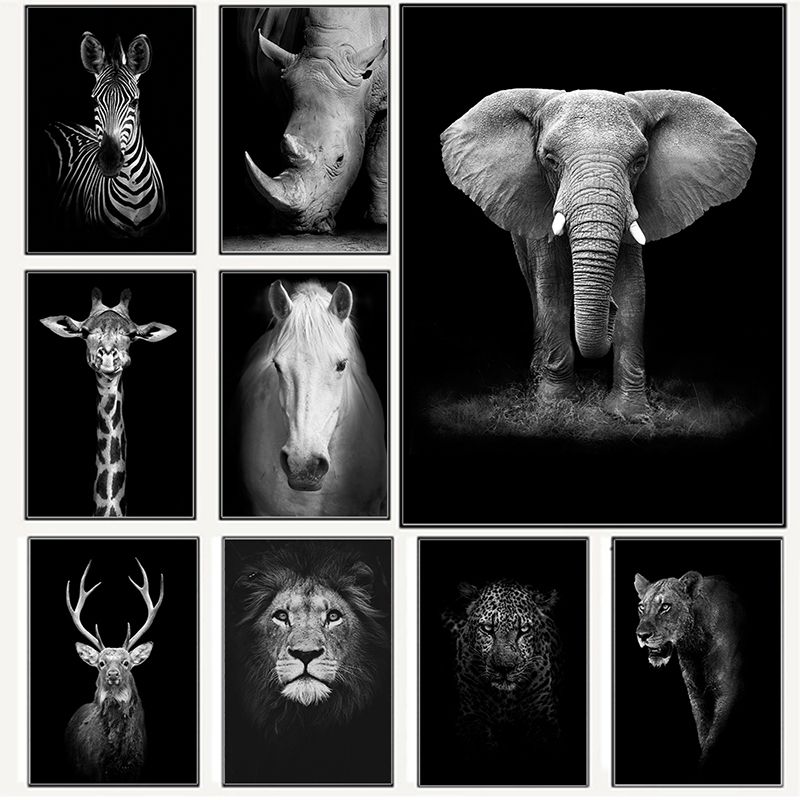 1pc Black And White Animal Canvas Wall Art Lion Elephant Deer Zebra Poster  Printing Mural Living Room Home Decoration No Frame - Home & Kitchen - Temu