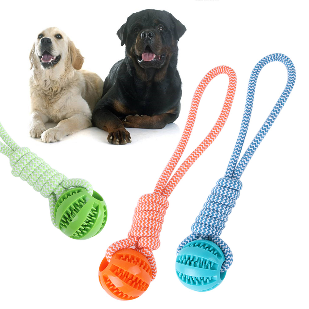 Kong Wobbler Review: Interactive Dog Toy & Food Dispenser - Puppy Leaks