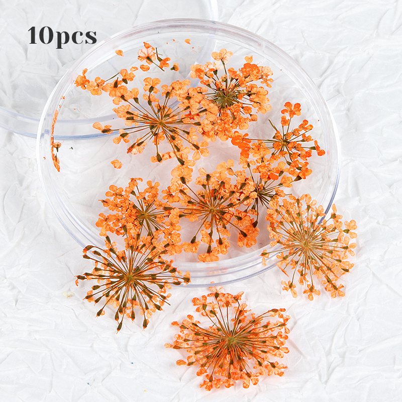 10pcs 3d Dried Flower Nails Art Decorations Natural Floral Nail