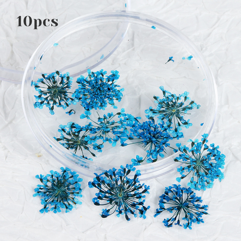 10Pcs 3D Dried Flower Nails Art Decorations Natural Floral Nail Charms  Jewelry Set Nail Supplies For Professionals Accessories - AliExpress