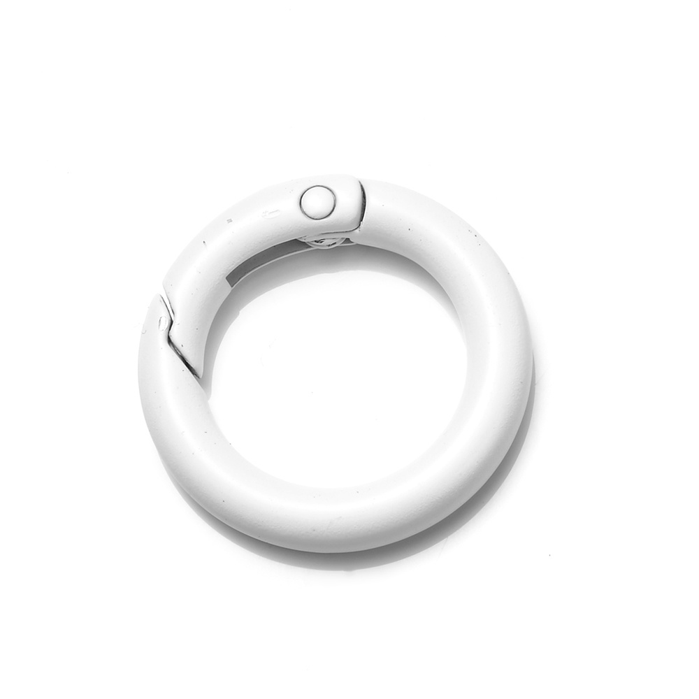Ohio Travel Bag-Novelty & Gift-Assorted, Carabiner Key Ring, #CB-5-$1.35