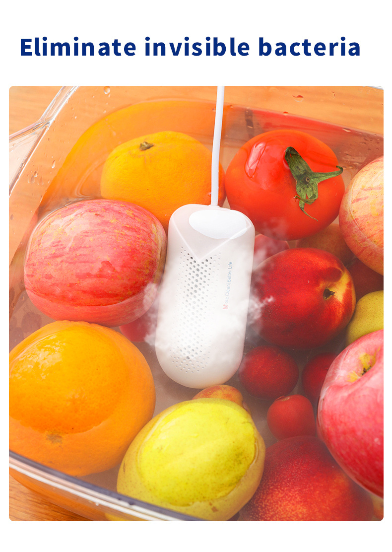 1pc portable food purifier remove pesticide residues disinfection fruit vegetable washing machine food sterilize household travel details 9
