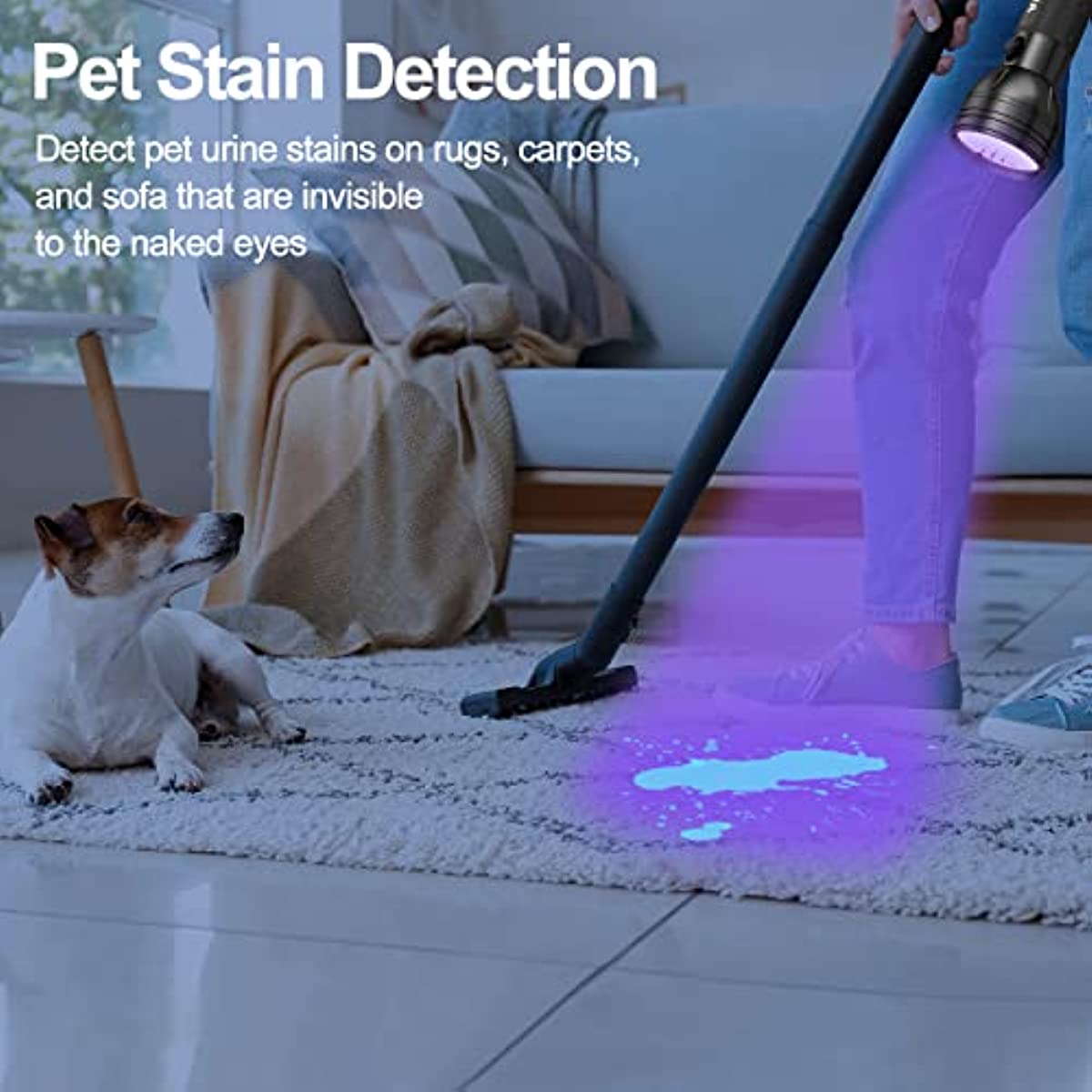 Powerful 100 Led Uv Flashlight For Pet Urine Detection - Temu