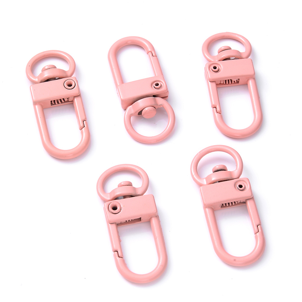  NOLITOY 100 Pcs Peach Heart Spring Buckle Keychains for Crafts  Keychain for Crafts Lanyard for Keys Metal Hanging Buckle Lobster Key Rings  Metal Snaps Bags Pendant Snap Hook DIY Buckles