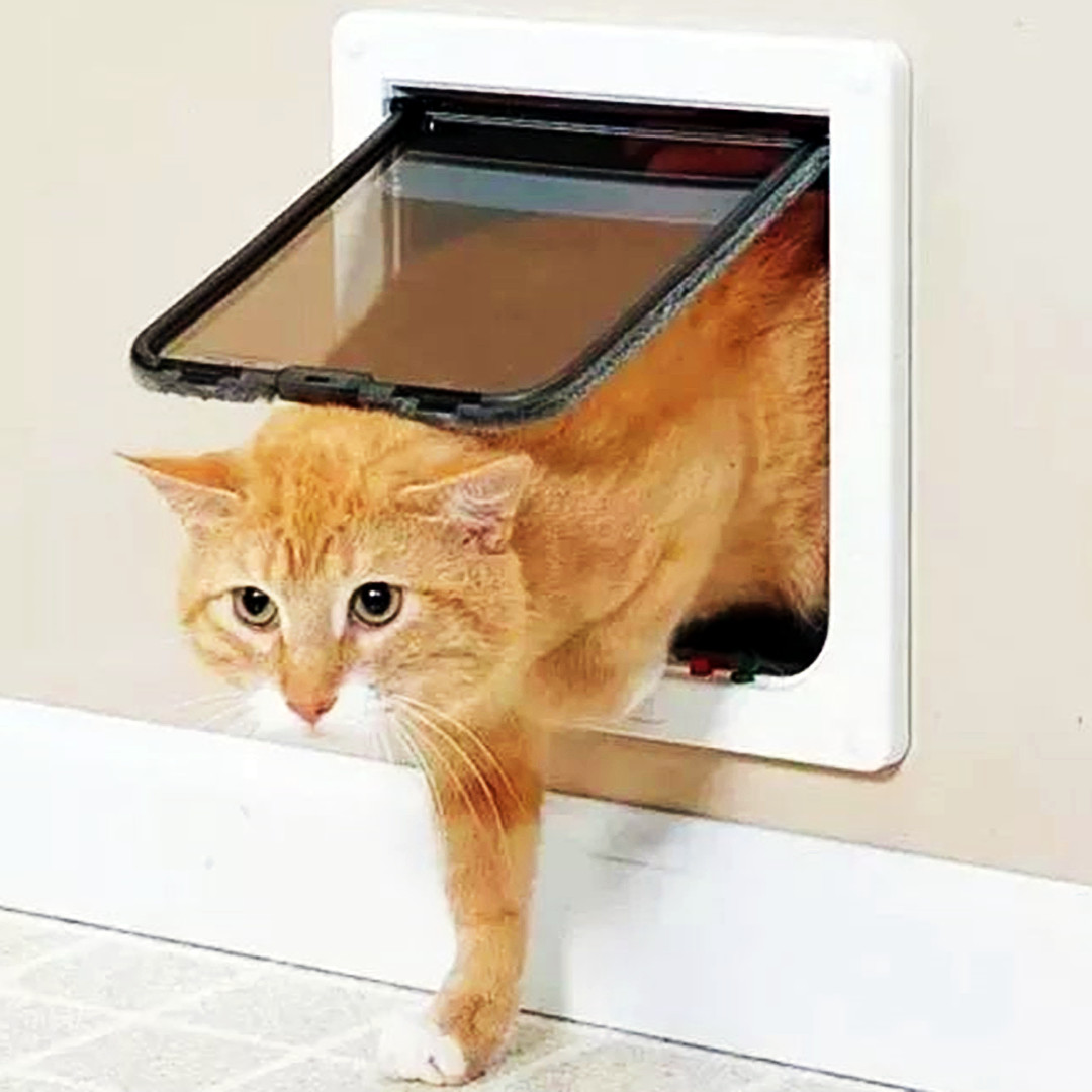 Puerta abatible para gatos para interiores y exteriores, puertas