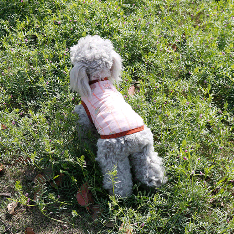 Dog Clothes Autumn And Winter New Teddy Schnauzer Bomei College