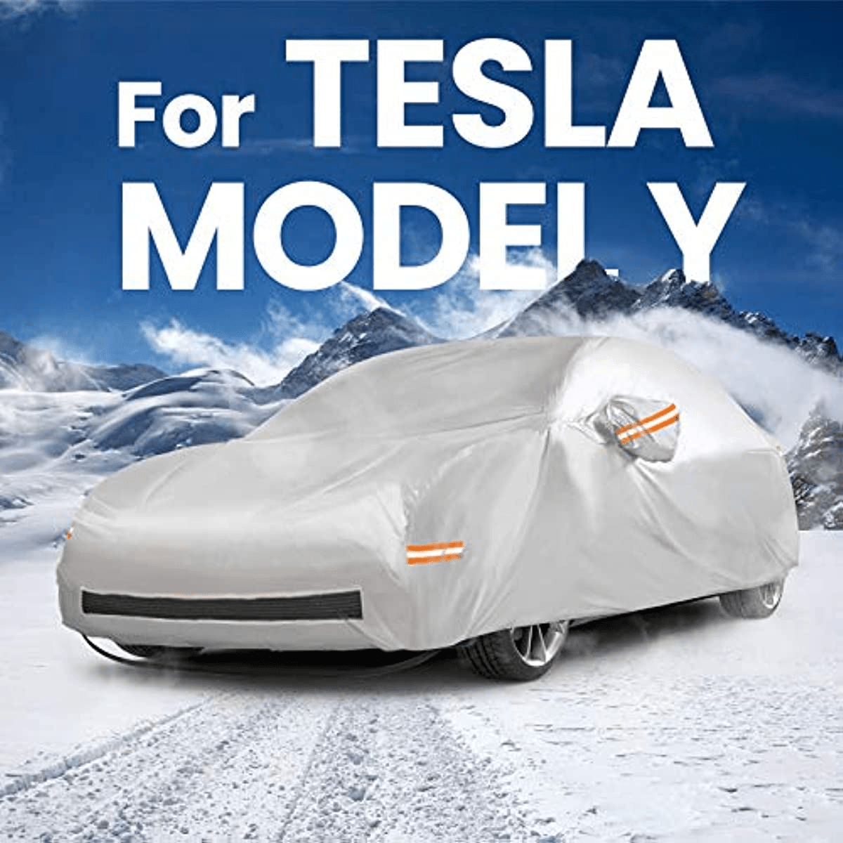 Model 3 Cover - Temu