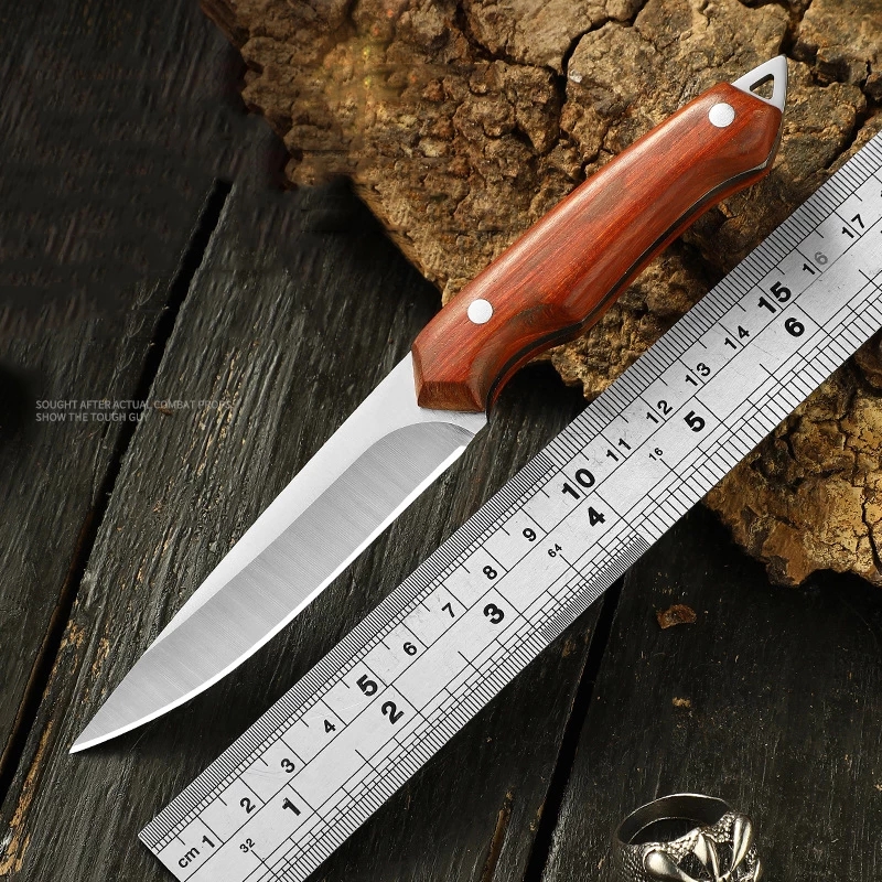 Stainless Steel Fruit Knife Paring Knife Outdoor Camping - Temu