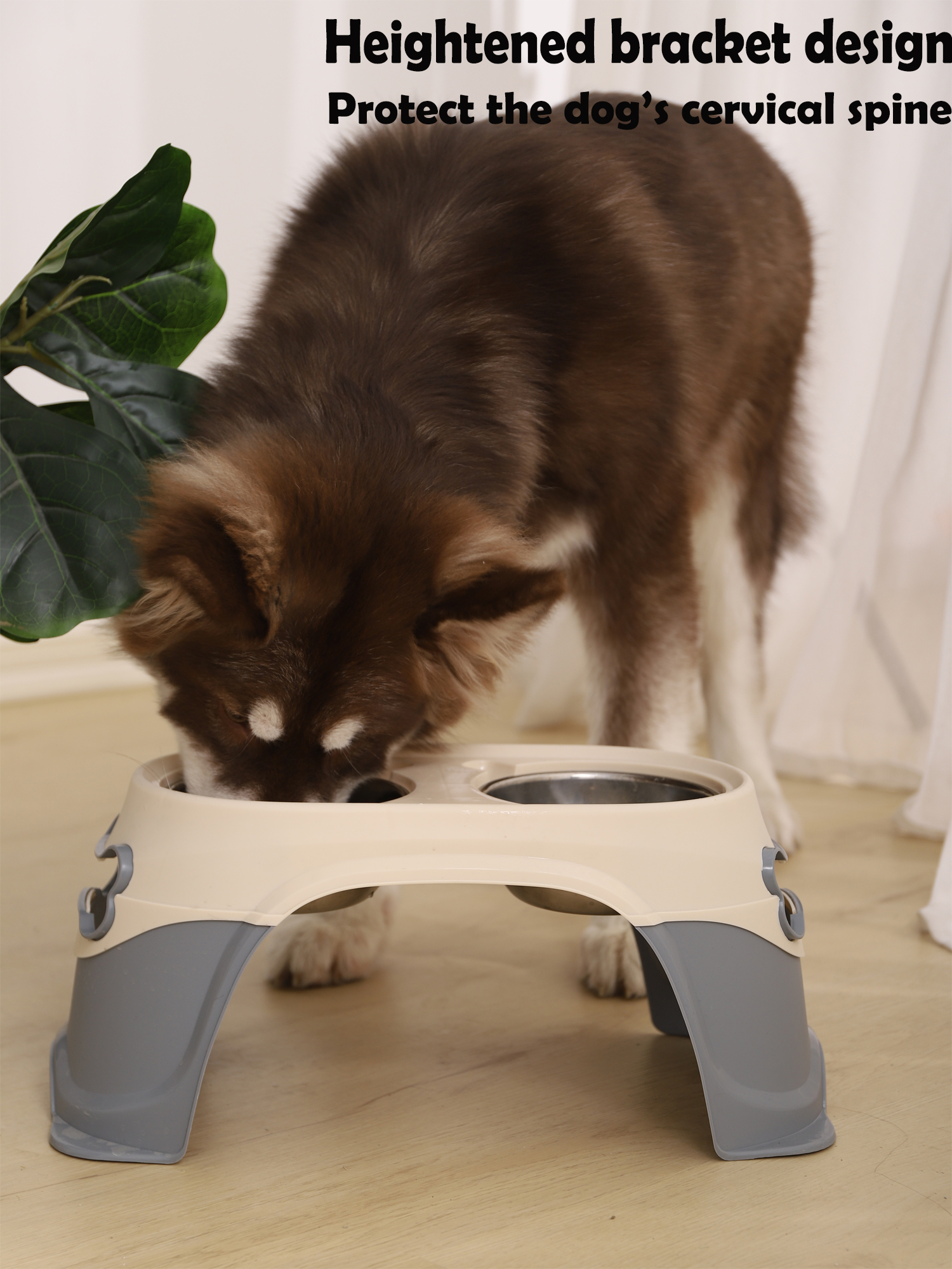 Heightened dog outlet bowls