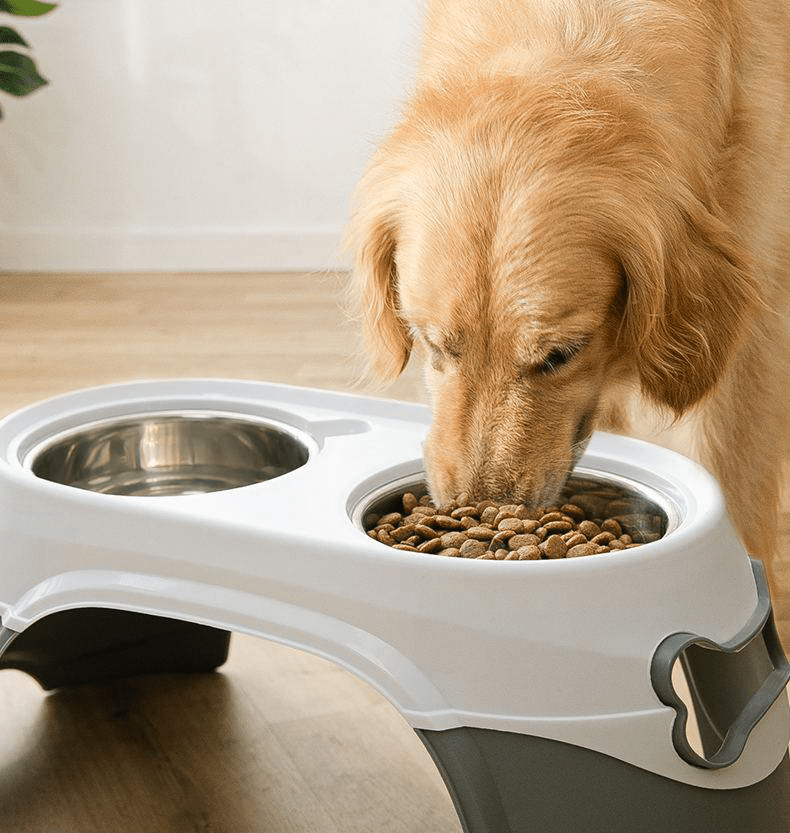 Raised Dog Feeder  Duluth Trading Company