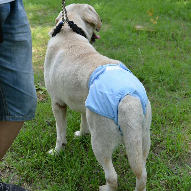 can you use human diapers on dogs