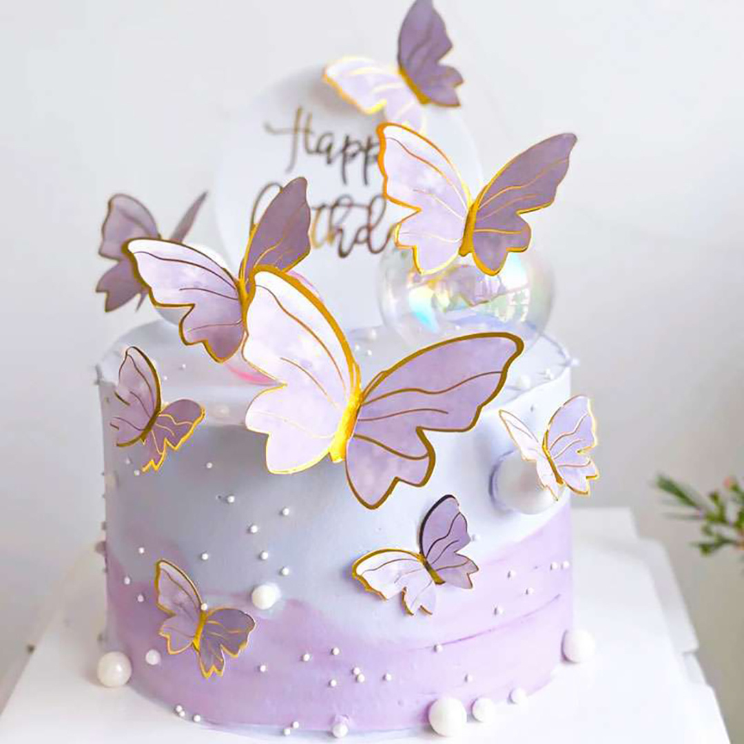 Joyeux anniversaire papillon thème gâteau toppershandmade peint