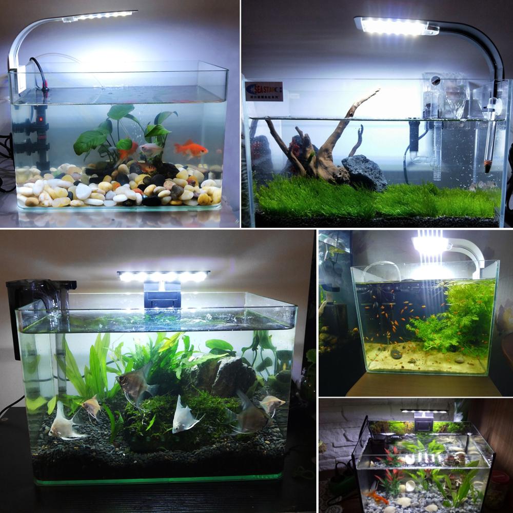 15w fish tank bulb