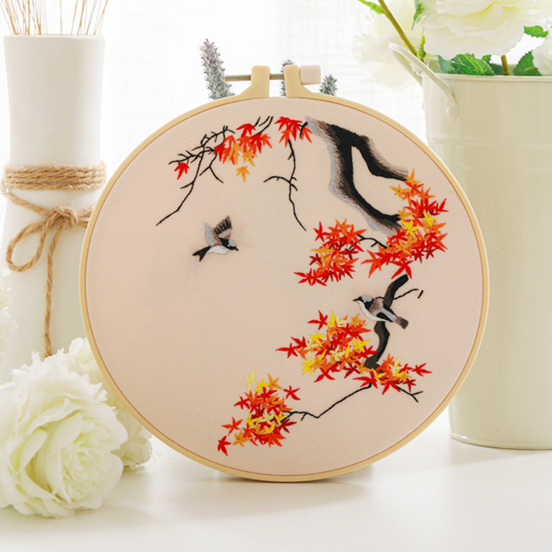 Embroidery Starter Kit With Birds Pattern And Instructions - Temu Japan