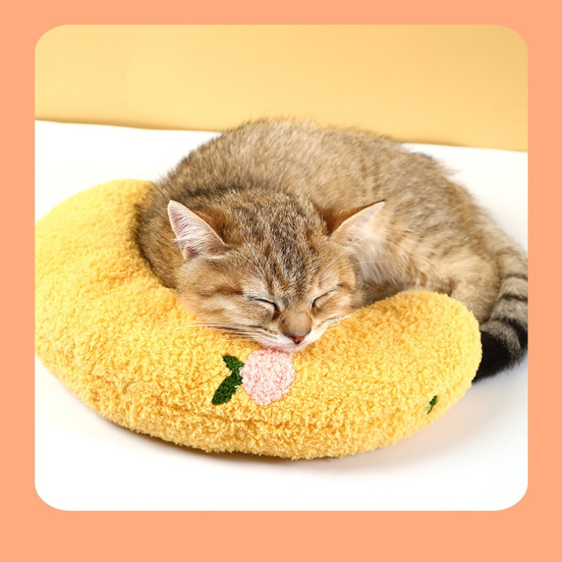 Um Gato Com Gatinhos Fofos, Travesseiros Macios E Acessórios Para