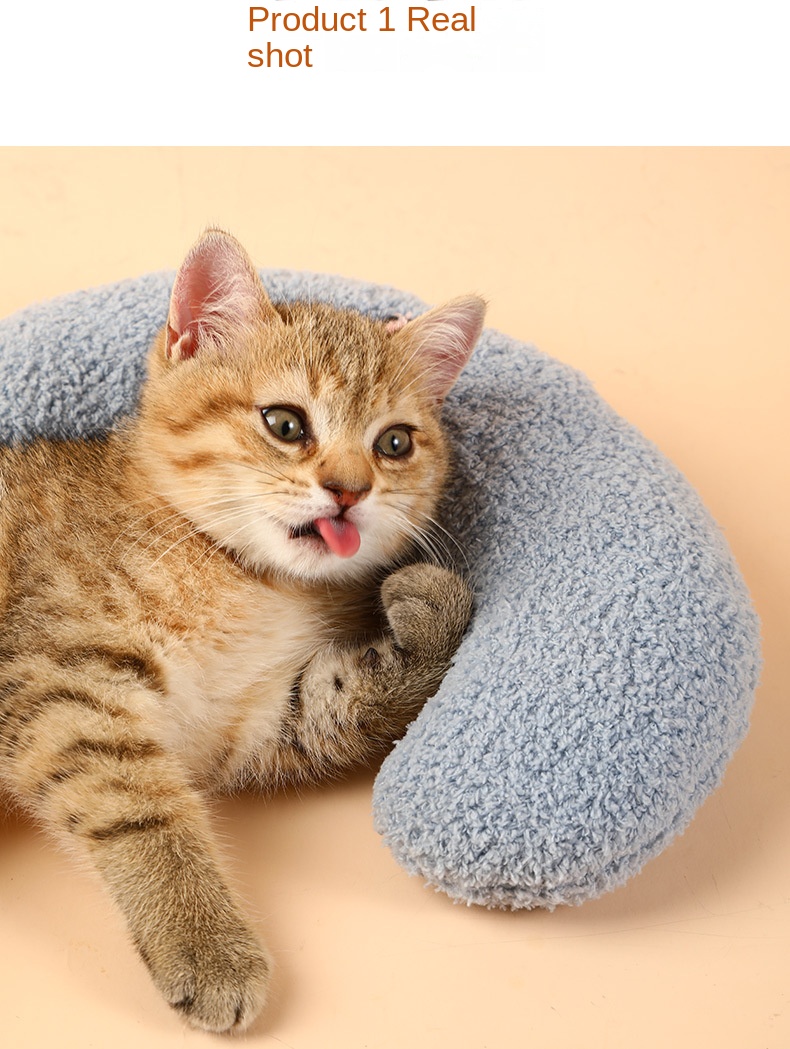 Shut The Fluff Up! Cat Pillows