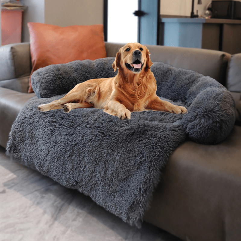 costco dog blanket