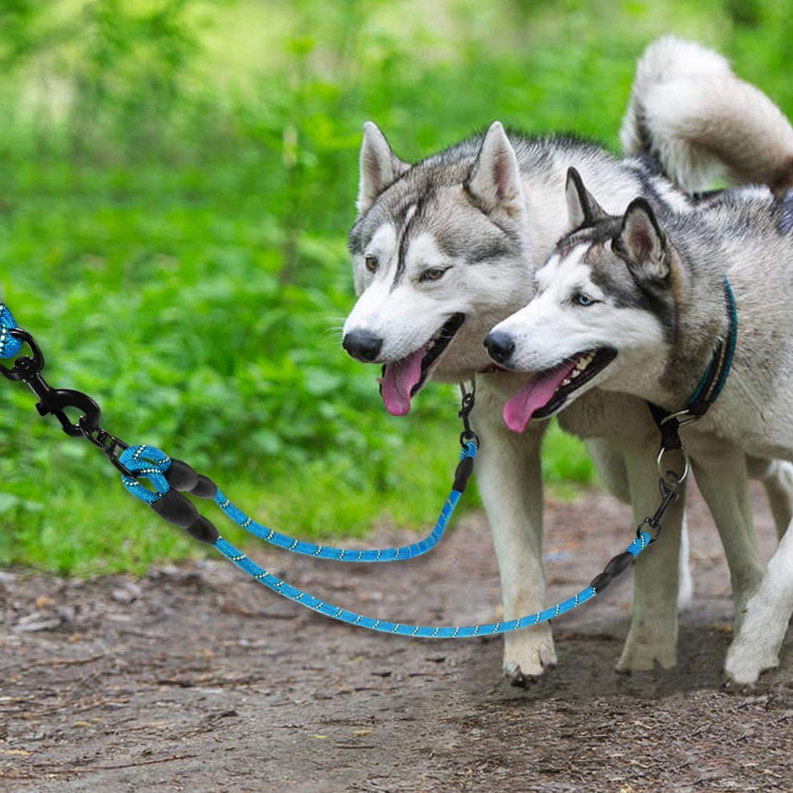 dual leash for large dogs
