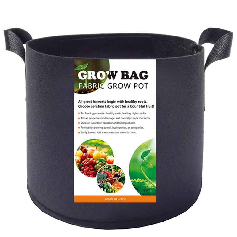 DONT Plant Fruit Trees In Fabric Grow Bags  YouTube
