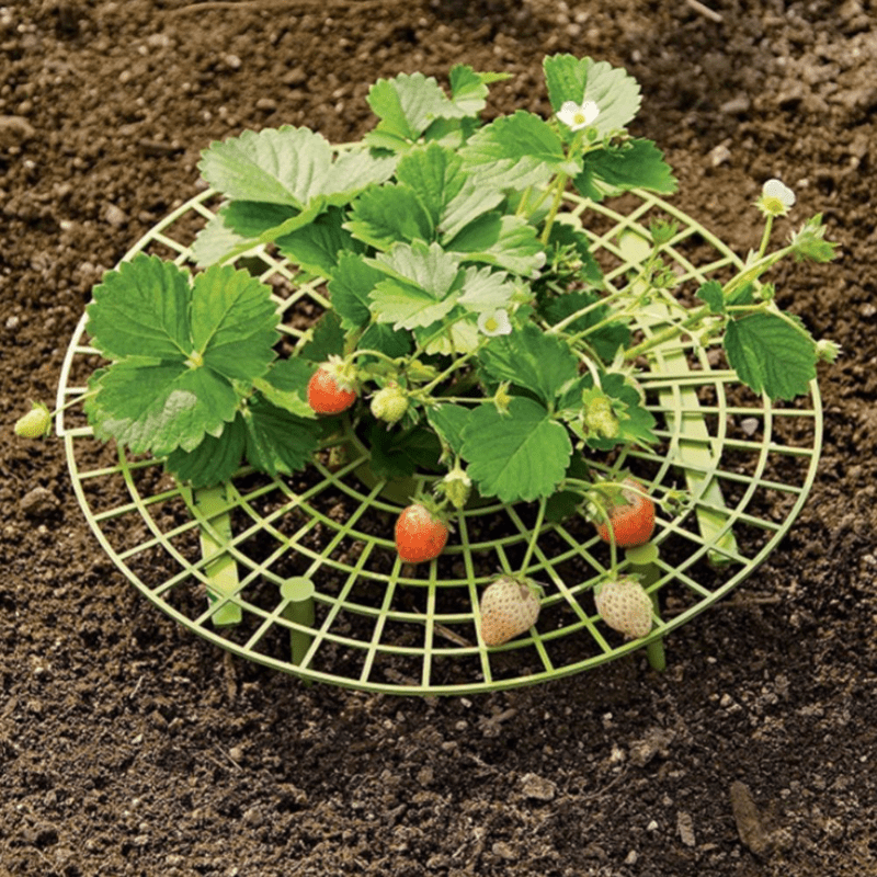 1pc climbing strawberry plant hanging basket handmade rope - Temu