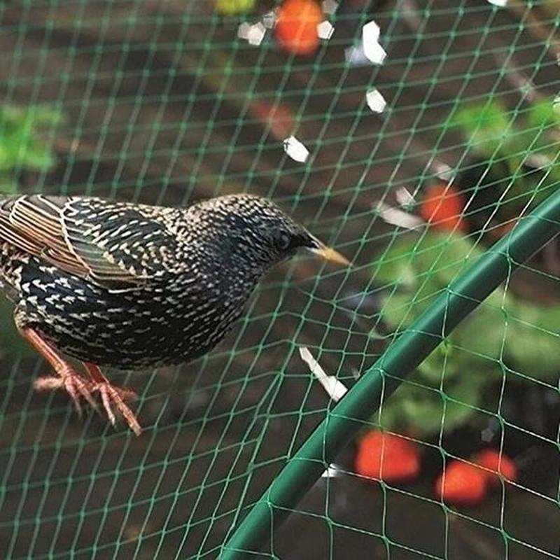 Nets: Bird Net, 12