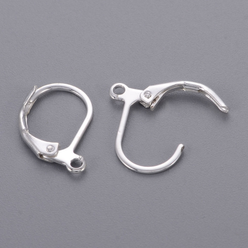 2 Colors 304 Stainless Steel Platinum And Golden Leverback Earring