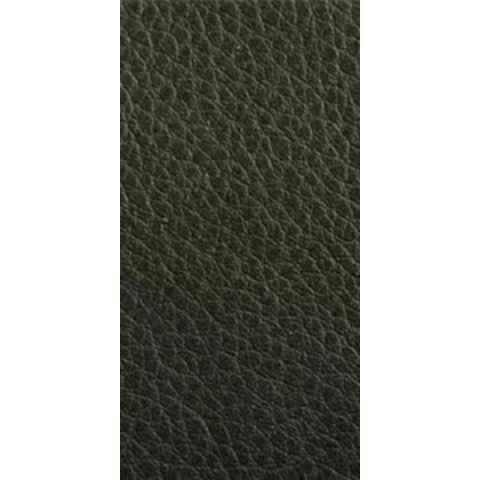 WANGYUXIN Leather Repair Tape,Large Leather Repair Patch,Leather Patches  for Couch,Self Adhesive Leather Repair Patch Tape Sticker,Light  Green,100x138cm/39.3x54.3in